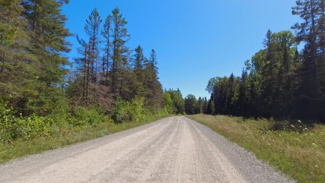 Front view forward driving Plate on a gravel road. POV driving car view. Rural winding road with tree lined forest. Sunny afternoon blue sky. Empty winding road ahead on Manitoulin Island, no traffic.