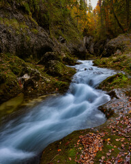river, waterfall, creek, forest, bavaria