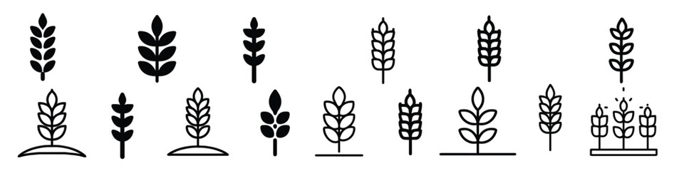 wheat icon, Grey Cereals icon set with rice, wheat, corn, oats, Vector farm wheat ears icon, Gluten free icon, Wheat logo. Icon bakery. Spike wheat. Bread grain