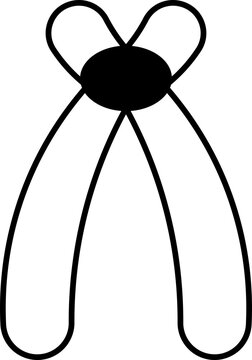 acrocentric  icon
