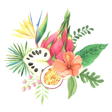 Watercolor watercolor summer tropical fruits with flowers