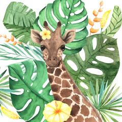 Watercolor tropical giraffe animal