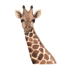 Watercolor tropical giraffe animal