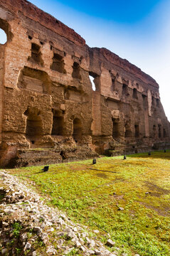 Natatio (Swimming pool), Baths of Caracalla, UNESCO World Heritage Site, Rome, Latium (Lazio)