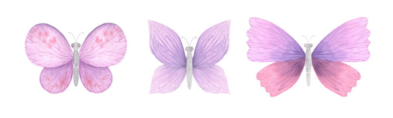 Set of pink bright watercolor butterflies