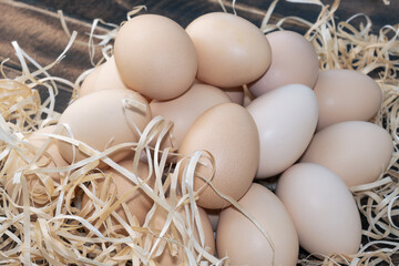 Nutrient-Rich Raw Eggs. Eggs can give we protein A Close-Up Perspective. 