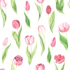 Seamless pattern with pink tulip - 666703264