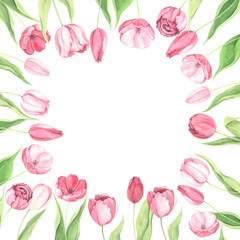 Watercolor hand painted pink tulip flowers frame - 666703850
