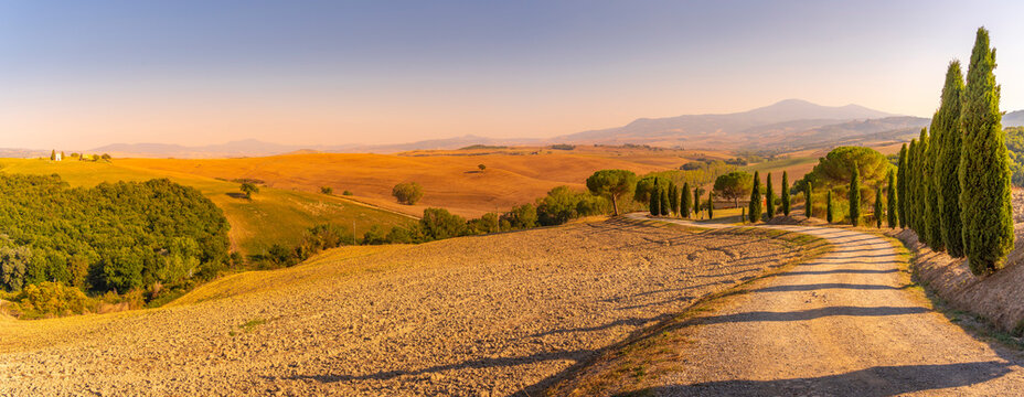 View of cypress trees and landscape in the Val d'Orcia near San Quirico d' Orcia, UNESCO World Heritage Site, province of Siena, Tuscany
