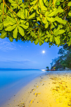 Full moon at Murex Bangka Dive Resort, Bangka Island, near Manado Sulawesi