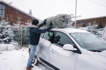 Handsome man tying to put a Christmas tree to the roof of the car to bring it home. Live fir tree delivery