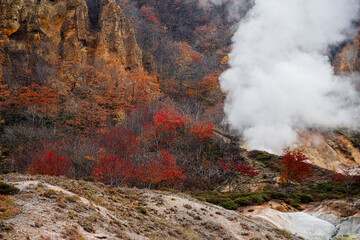 Steep walls, autumn gold and red trees with steam from a volcanic hot spring, Hell Valley, Noboribetsu, Hokkaido, Japan