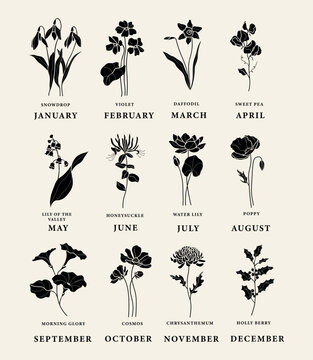 Flat vector birth month flowers set