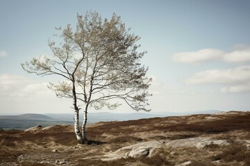 isolated birch tree. Generative AI