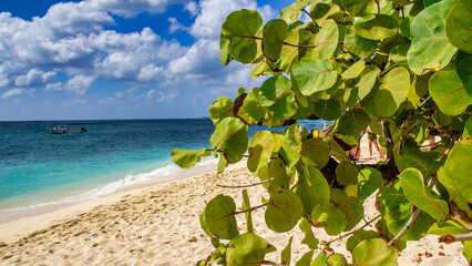 The beautiful beach of Grand Cayman