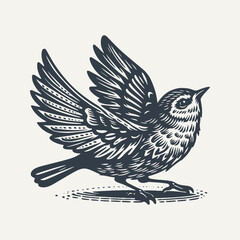 Small bird spreading wings. Vintage woodcut engraving style hand drawn vector illustration.