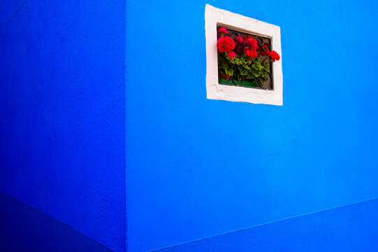 Vibrant blue building with blossoming red flowers in a small window; Burano, Venice, Italy