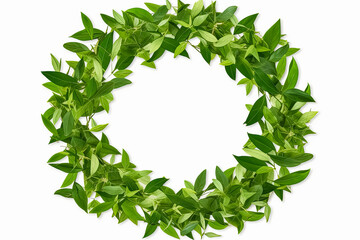 Wreath of green leaves over white background