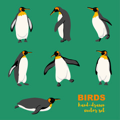 Hand-drawn vector set of king penguins in a flat style. King penguins in different poses.