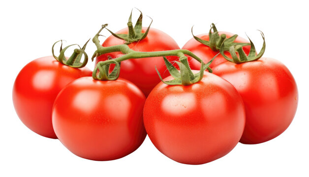 tomatoes isolated on transparent background