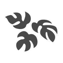 monstera leaf icon design vector template