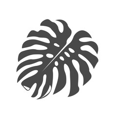 monstera leaf icon design vector template