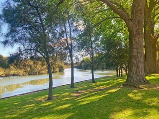 Grassy river bank with the Cooks River in the background