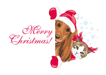 Peeking Santa Cocker Spaniel dog and cat with Christmas horns