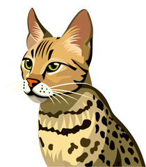 savannah cat vector image, hybrid domestic cat vector illustration, Leptailurus serval stock vector