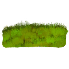Obraz premium green grass