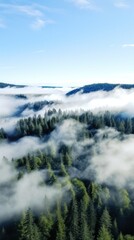 A top view of a forest with a white fog rolling over the treetops.