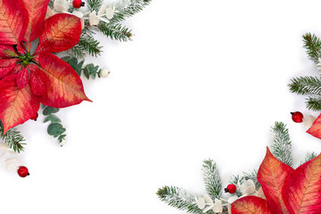 Christmas decoration. Flower of red orange poinsettia, branch christmas tree, berries mistletoe,...