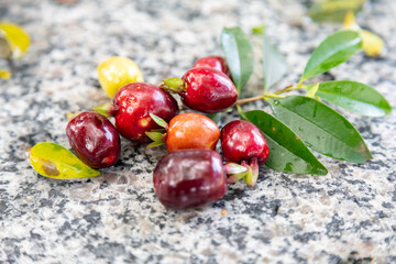 Ripe Eugenia involucrata, an exotic cherry spice commonly found in South America, especially in Brazil. Wild cherry or "bush cherry"