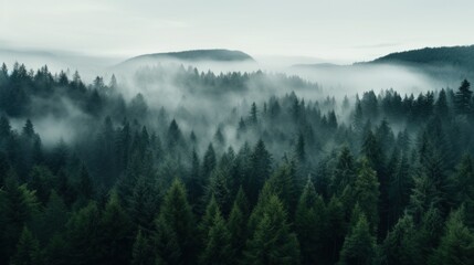 An aerial shot of a dense forest with a white fog
