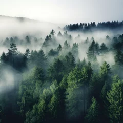 Papier peint photo  A high angle shot of a forest with a white fog covering  © olegganko