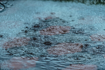 Raindrops close-up at rainy day