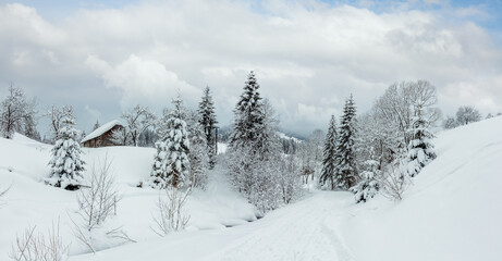 Obraz premium Wooden house, rural road and snowy trees on winter slope of Ukrainian Carpathian Mountains in cloudy weather.