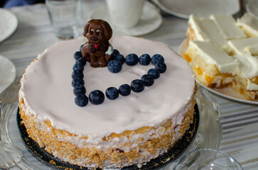 Tort urodzinowy z czekoladowym pieskiem o borówkami. - obrazy, fototapety, plakaty