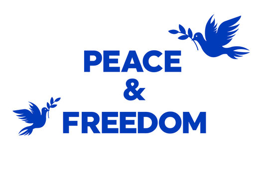 Israel vs Palestine peace concept. White pigeon hangs olive branch with ''no war'' text concept.