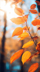 Obraz premium A vibrant tree illuminated by the sun's rays