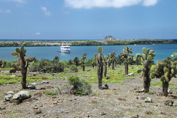 Coastline of South Plaza Island with North Plaza Island in the distance, Galapagos National Park, Ecuador.