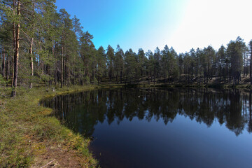 Obraz premium Landscape of lake region during summer
