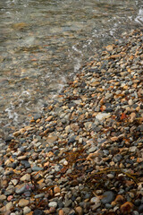 Colorful coastal background of multi-colored pebbles mixed with various bright, seaweeds.