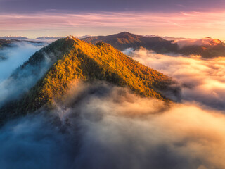 Aerial view of mountain peak in low clouds at sunrise in autumn. Top drone view of hills with red and orange trees in fog, colorful sky in fall. Slovenia. Nature. Mountain valley. Autumn forest. Alps