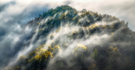 Aerial view of mountain forest in low clouds at sunrise in autumn. Hills with yellow and orange trees in fog in fall. Beautiful landscape with foggy forest, sunbeams. Drone view from above of woods