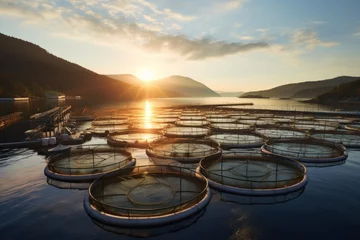 Foto op Aluminium A vast array of fish cages floating on the sea, showcasing a salmon farming firm in action © nordroden