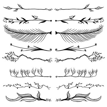 Plante d&eacute;coration