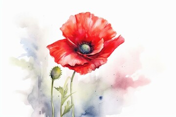 A watercolor painting of a poppy flower on a white background. Generative AI