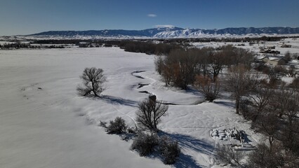 Snow Covered Trees in a Wyoming Winter Wonderland 