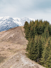 Scenic view from Baiului Mountains with the snowy peaks of Bucegi Mountains. Carpathians in Romania.